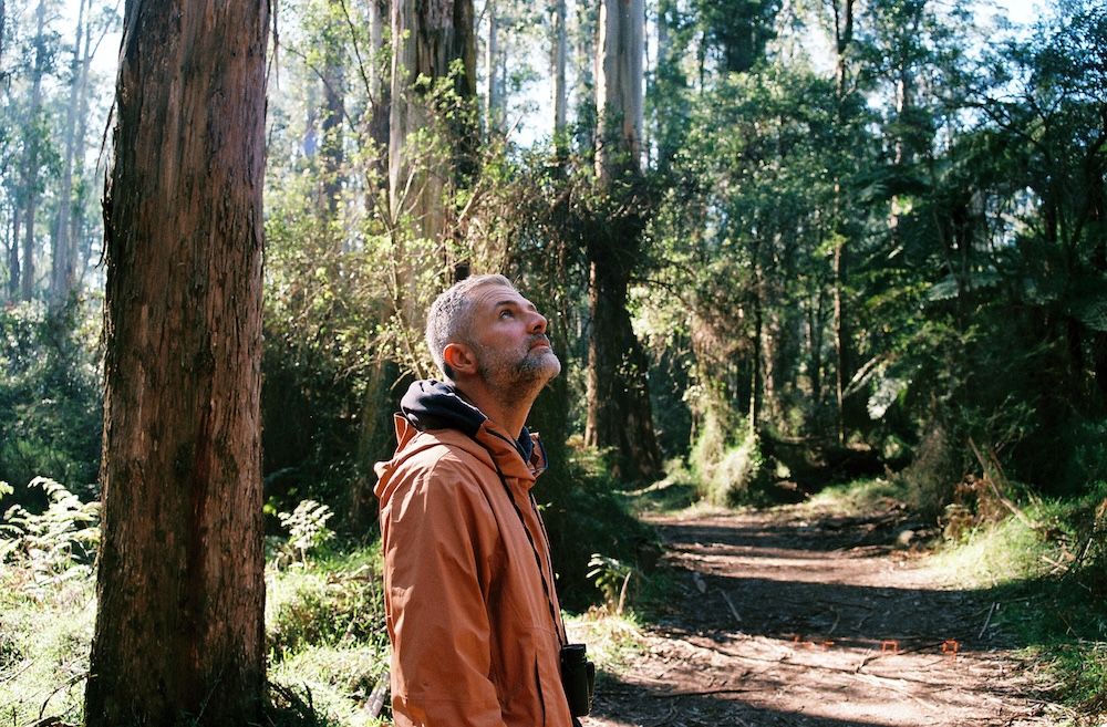 Man staring up at the sky surrounded by trees in Sherbrooke Forest