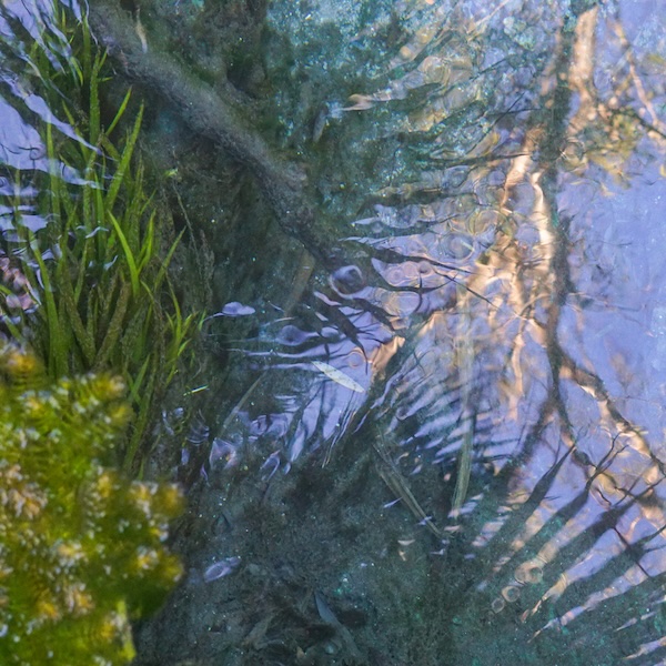 IKSRE "in all her forms (sound meditations, vol. 2)" artwork