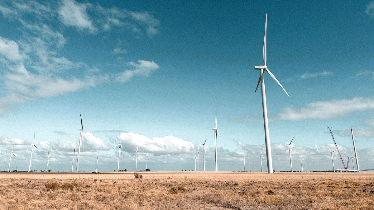 Windmills in a field.