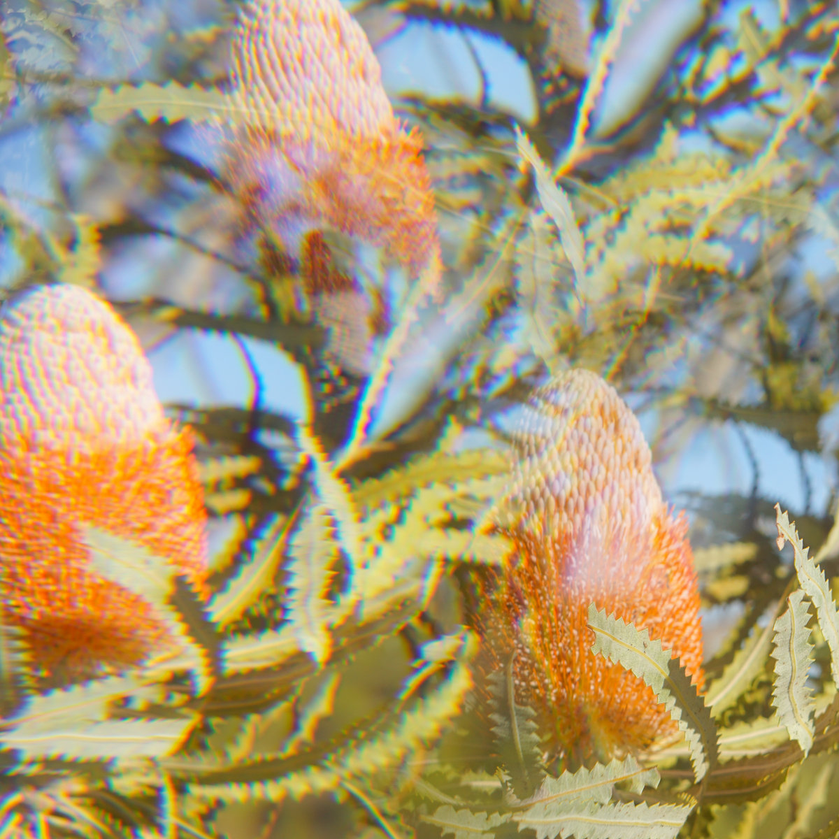 IKSRE's Expansion A (South) album cover.