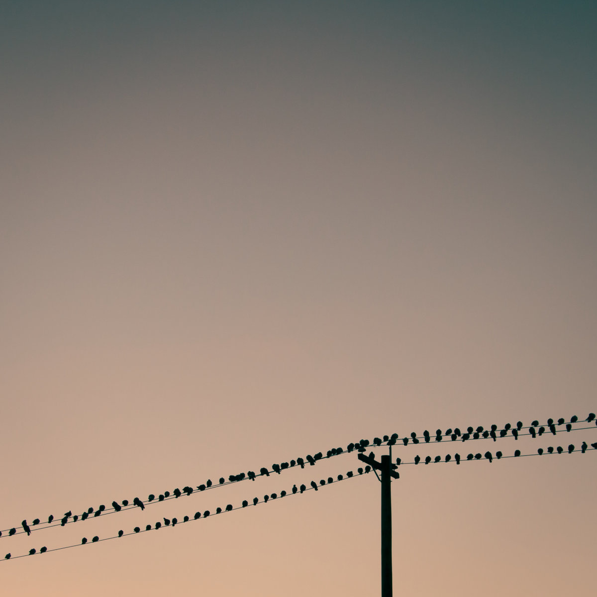 IKSRE: Seasons Shifting album cover.