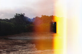 Accidental 35mm exposure beauty at Rosa Glen Winery, WA 🔥🎞️ -