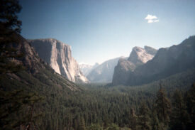 Yosemite NP, September 2023 ✨📸 a cheap, 35mm camera